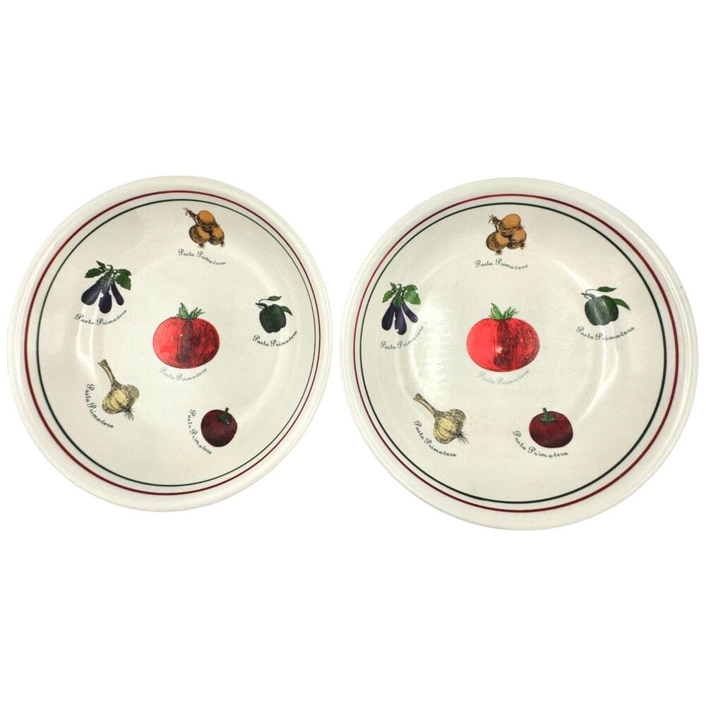 Pasta Primavera Bowls Set of 2 Vegetable Print Italian and Portugal Colours 9.5"